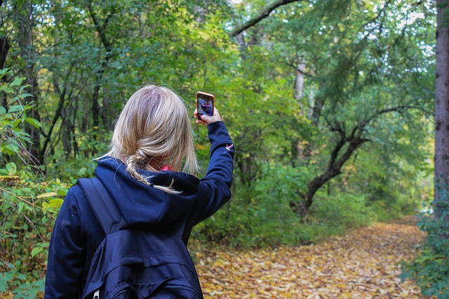 Woman using mobile phone in nature